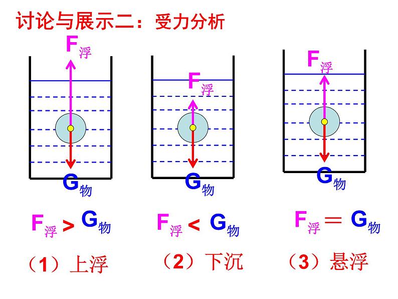 1.3 水的浮力（第三课时） —浙教版八年级科学上册课件04