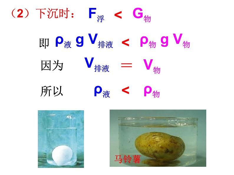 1.3 水的浮力（第三课时） —浙教版八年级科学上册课件07