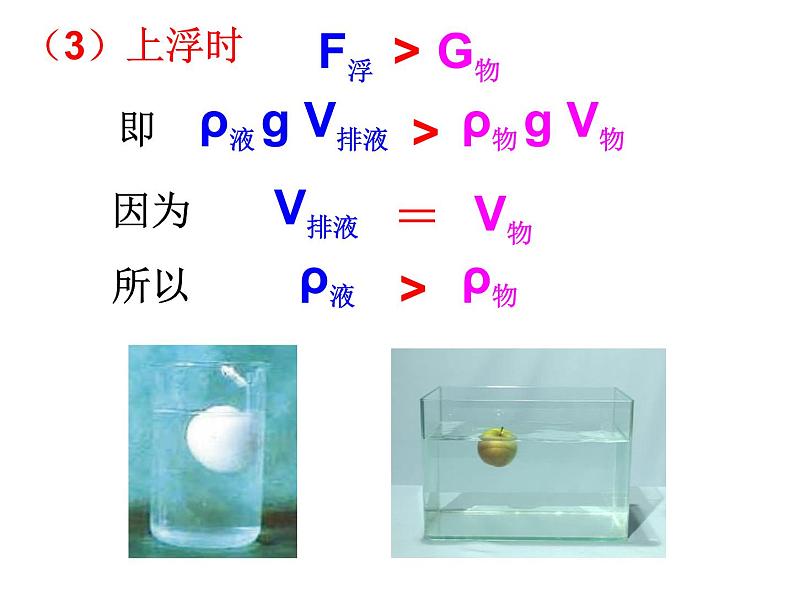 1.3 水的浮力（第三课时） —浙教版八年级科学上册课件08