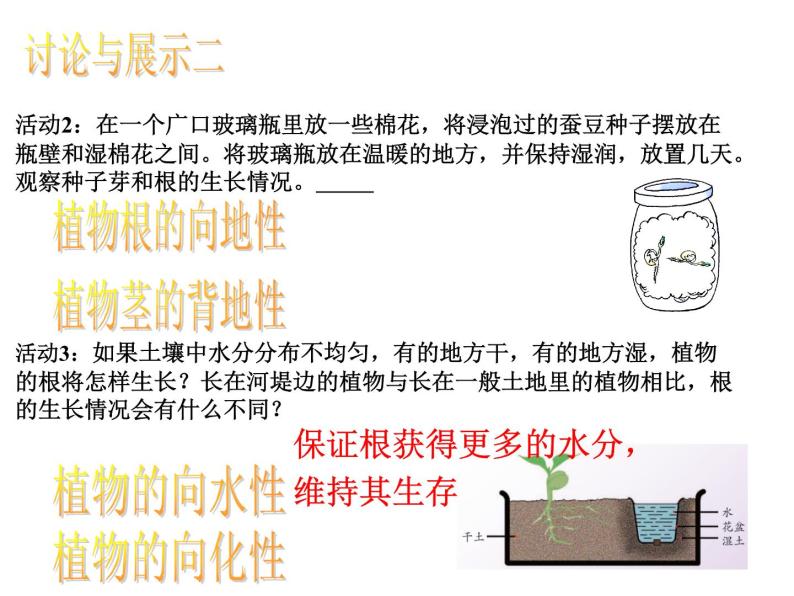 3.1 植物生命活动的调节—浙教版八年级科学上册课件07