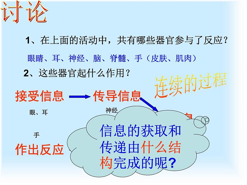 3.3 神经调节—浙教版八年级科学上册课件第8页