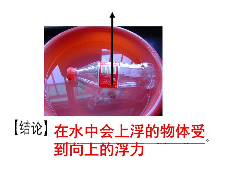 1.3 浮力（第一课时）—浙教版八年级科学上册课件第4页