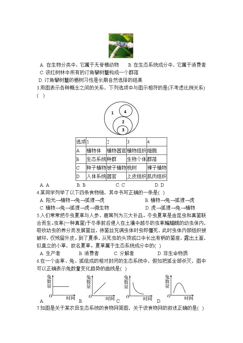 5.2 生态系统 学案03