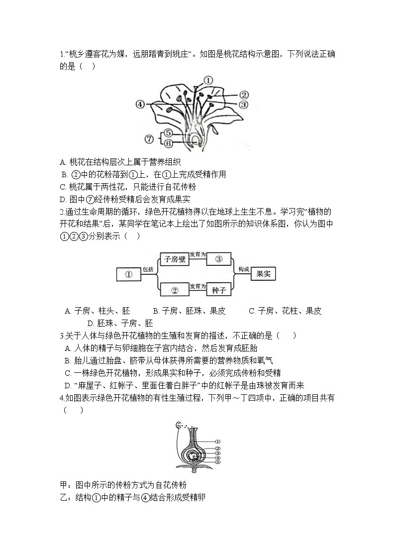 7.1 绿色开花植物的有性生殖和发育 学案03