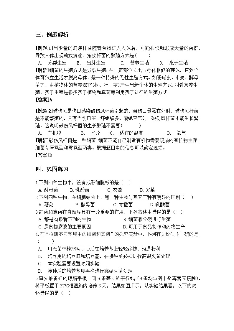 7.4 细菌和真菌的繁殖 学案第2页
