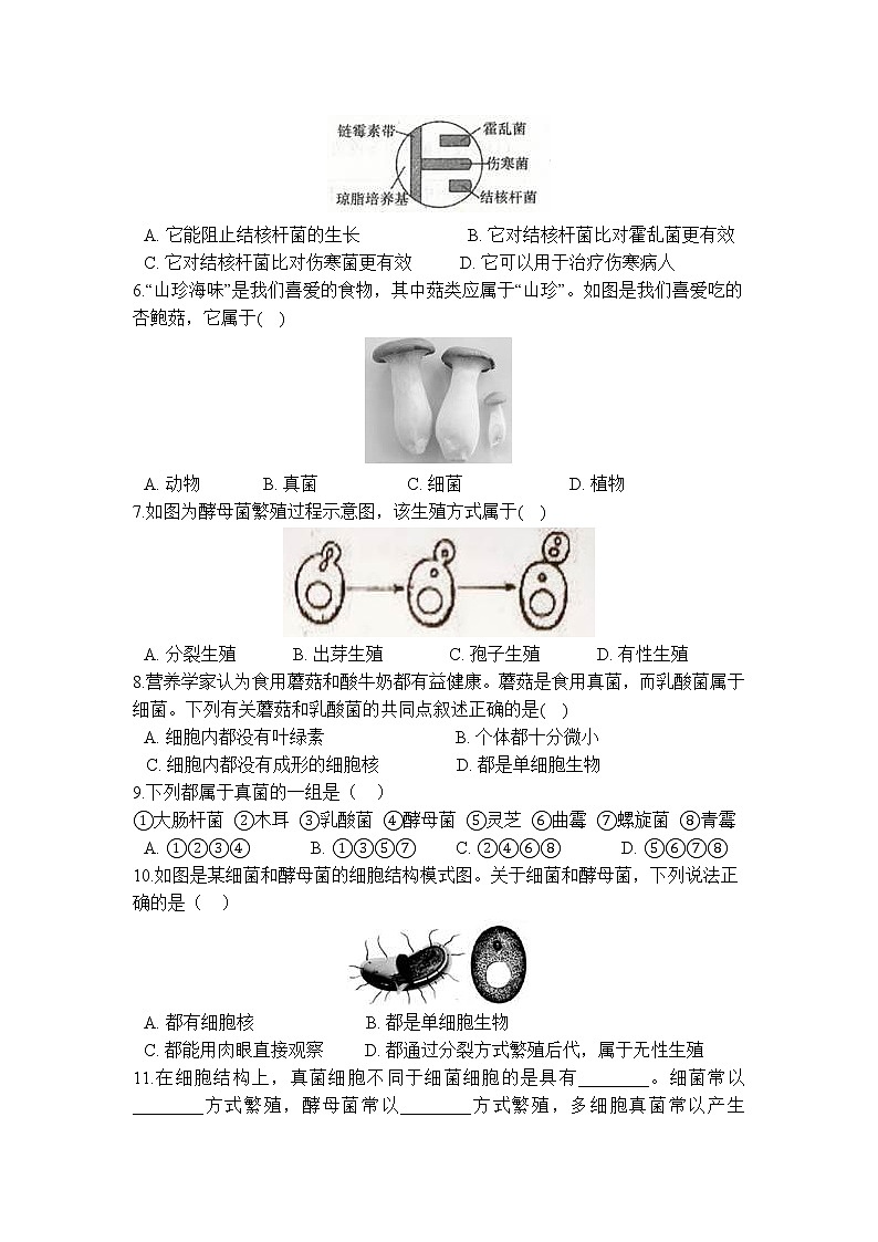 7.4 细菌和真菌的繁殖 学案第3页