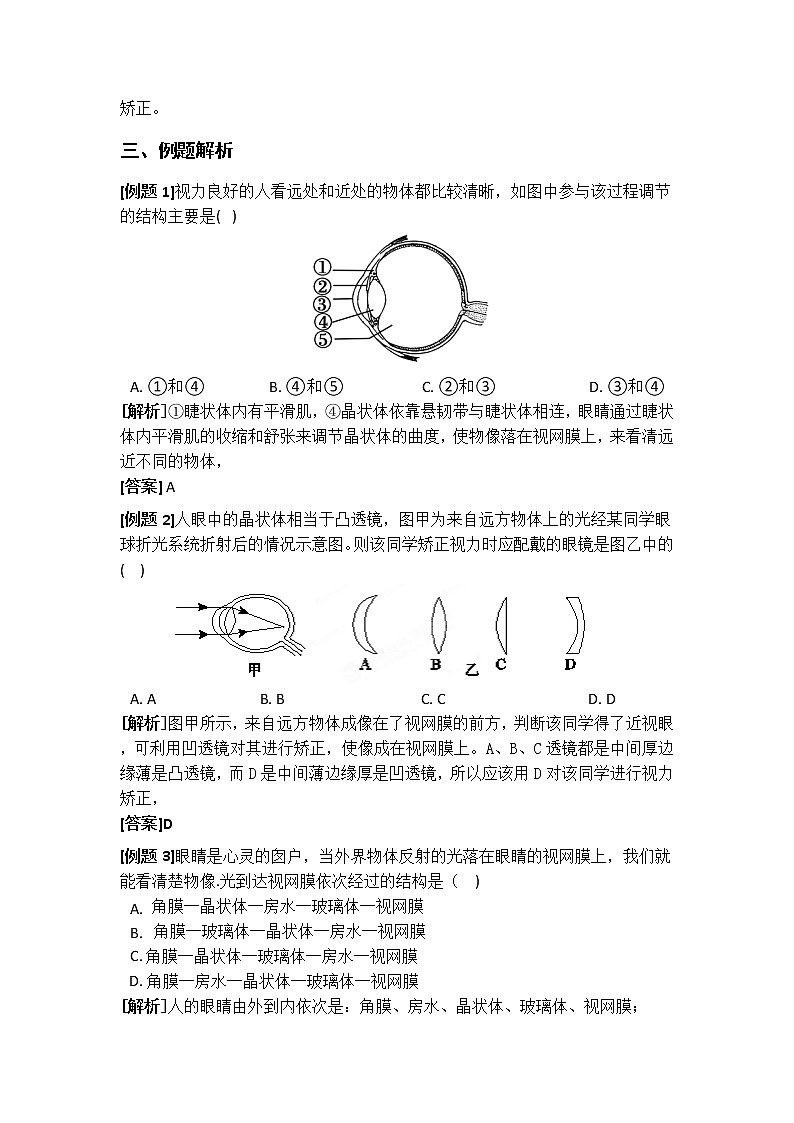 3.1 眼与视觉  学案02