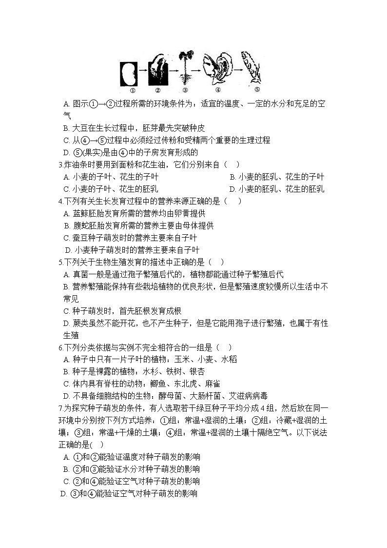 华师大版 七年级下册 7.2 种子的萌发和幼苗的形成 学案03