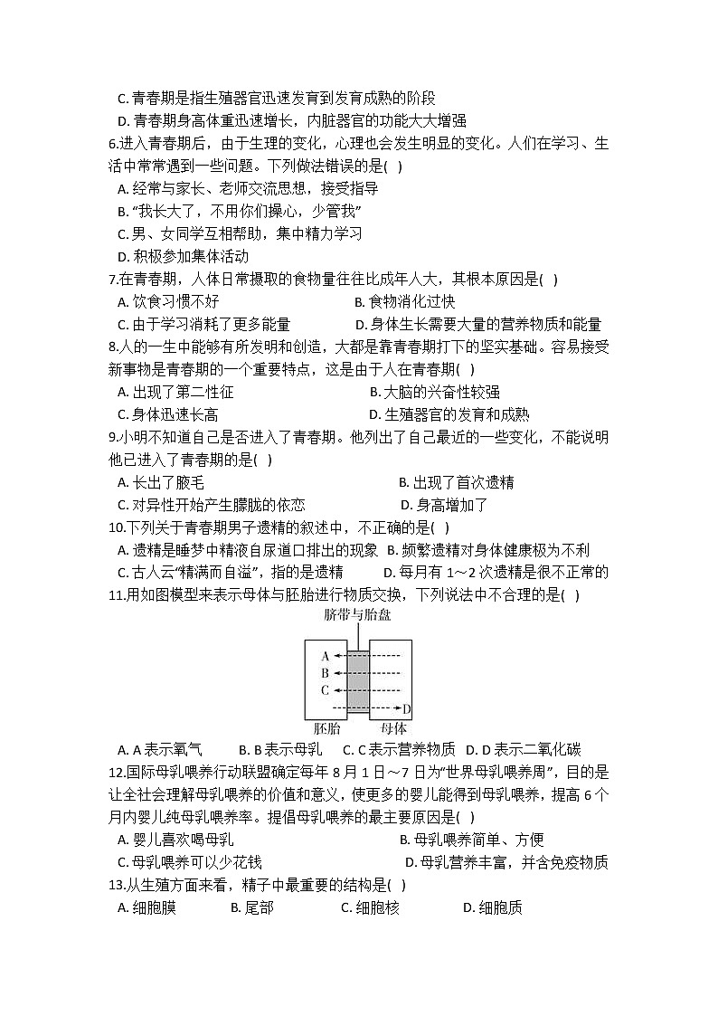 华师大版 七年级下册 6.2 人的生殖与发育 同步自测第2页