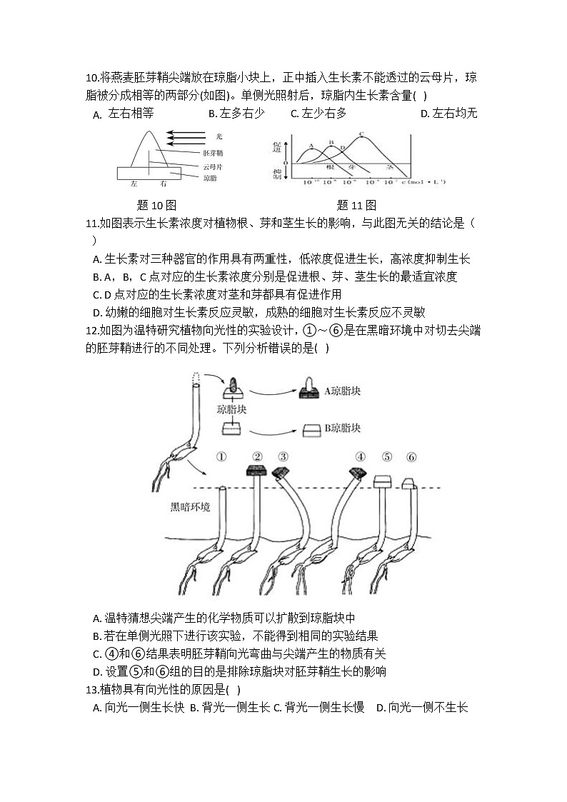 华师大版 八年级下册 7.5 植物生命活动的调节 同步自测03
