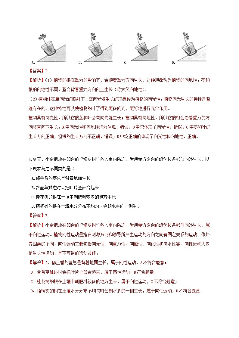 3.1 植物生命活动的调节 重难点优化与提高 （学生+教师版含解析）—浙教版八年级科学上册同步检测03