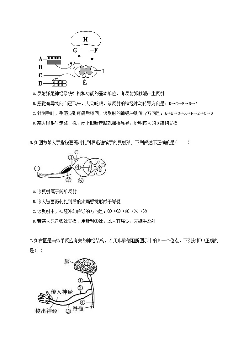 3.3 神经调节-重难点优化与提高（学生+教师版含解析）—浙教版八年级科学上册同步检测03