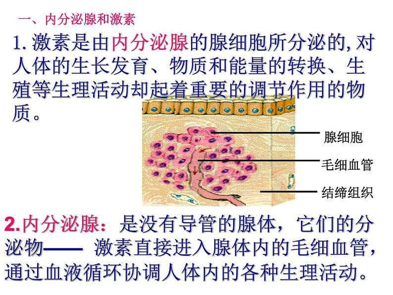 3.2  人体激素的调节—浙教版八年级科学上册课件第7页