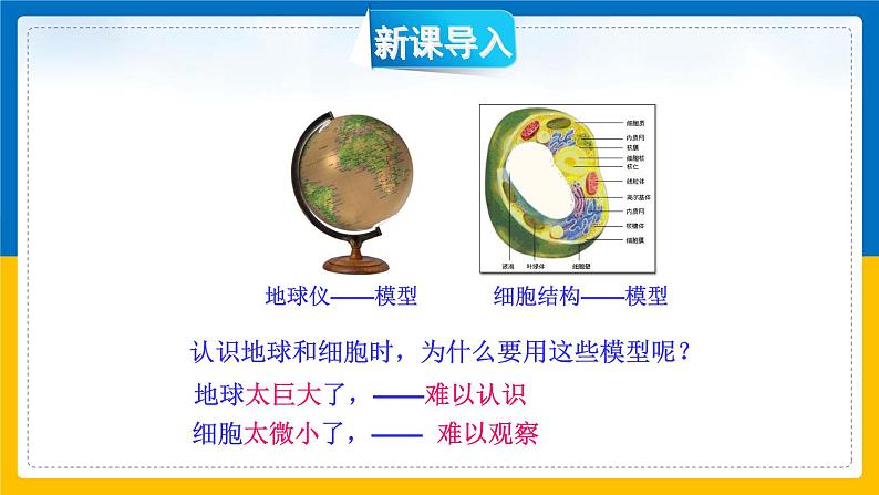 2.1《模型、符号的建立与作用》（课件+教案+学案+练习）02