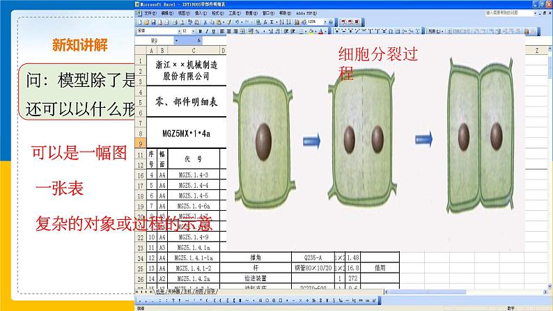 2.1《模型、符号的建立与作用》（课件+教案+学案+练习）03