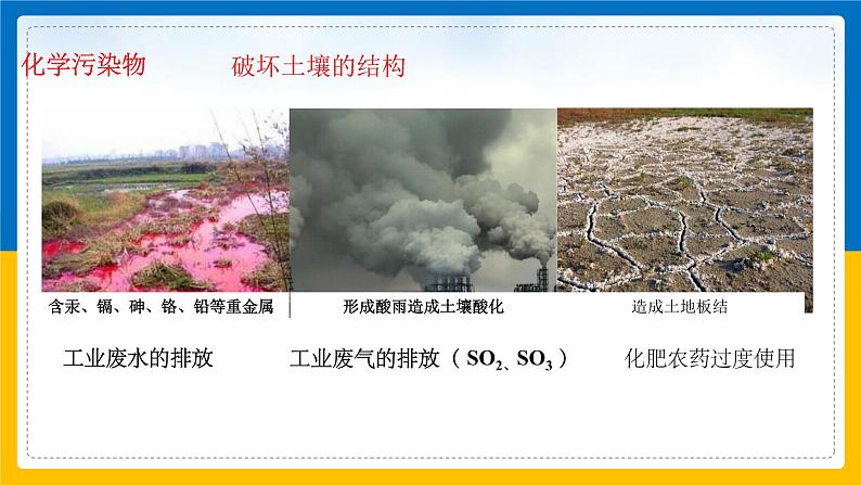 4.6《保护土壤》（课件+教案+学案+练习）08