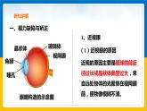2.6 透镜和视觉（第2课时）（课件+教案+学案+练习）