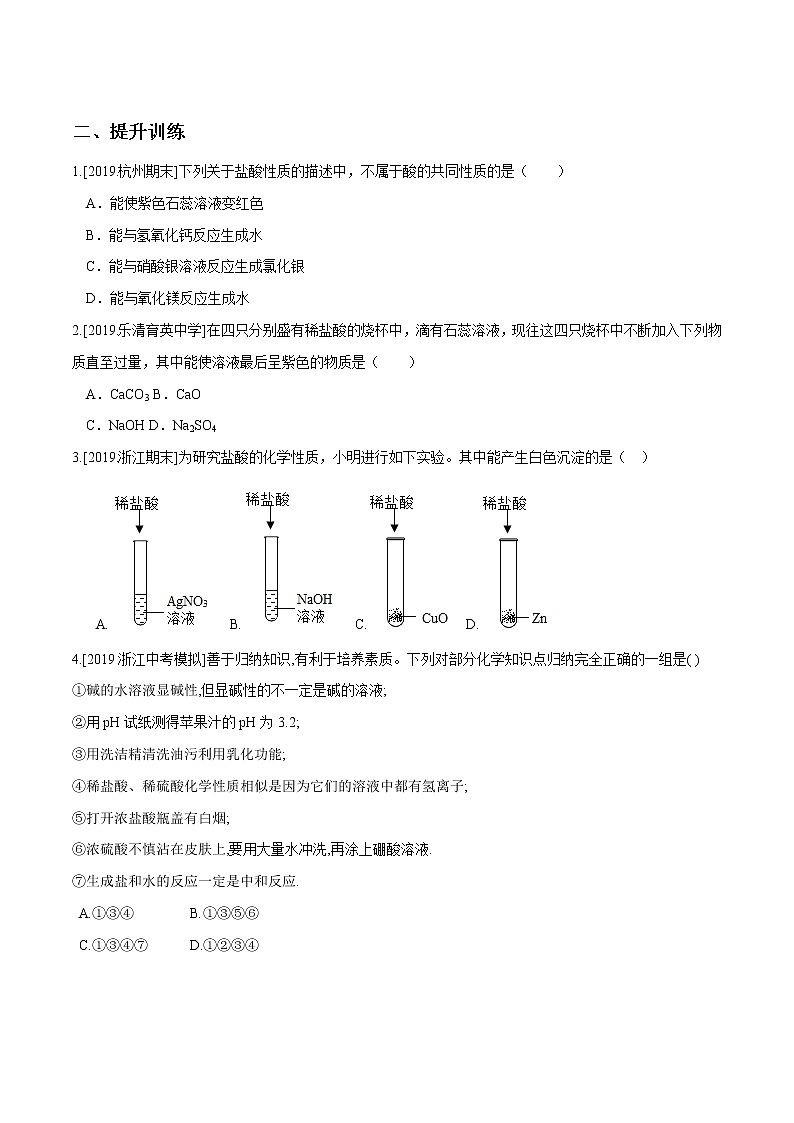1.3 常见的酸（第1课时）（精选练习）-九年级科学上册（浙教版）03
