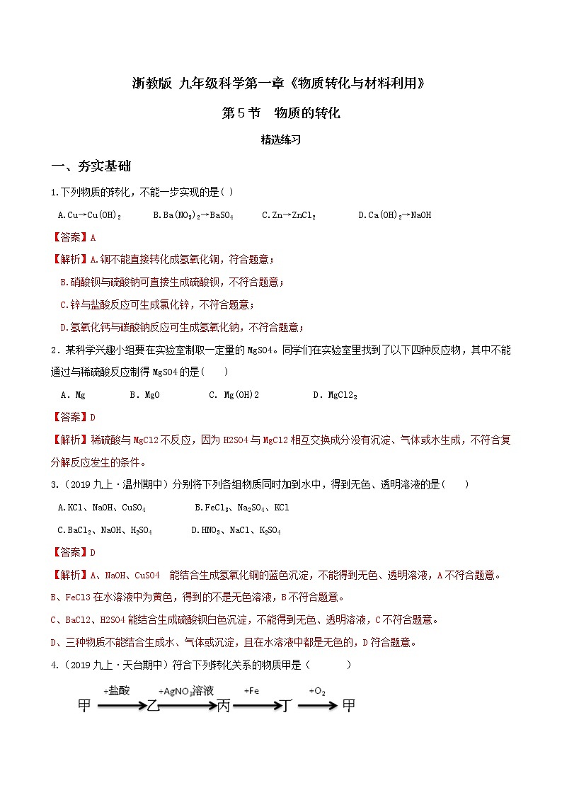 2.5 物质的转化（第4课时）（精选练习）-九年级科学上册（浙教版）01