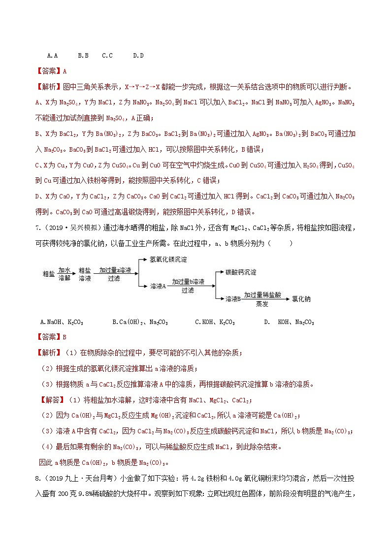 2.5 物质的转化（第4课时）（精选练习）-九年级科学上册（浙教版）03