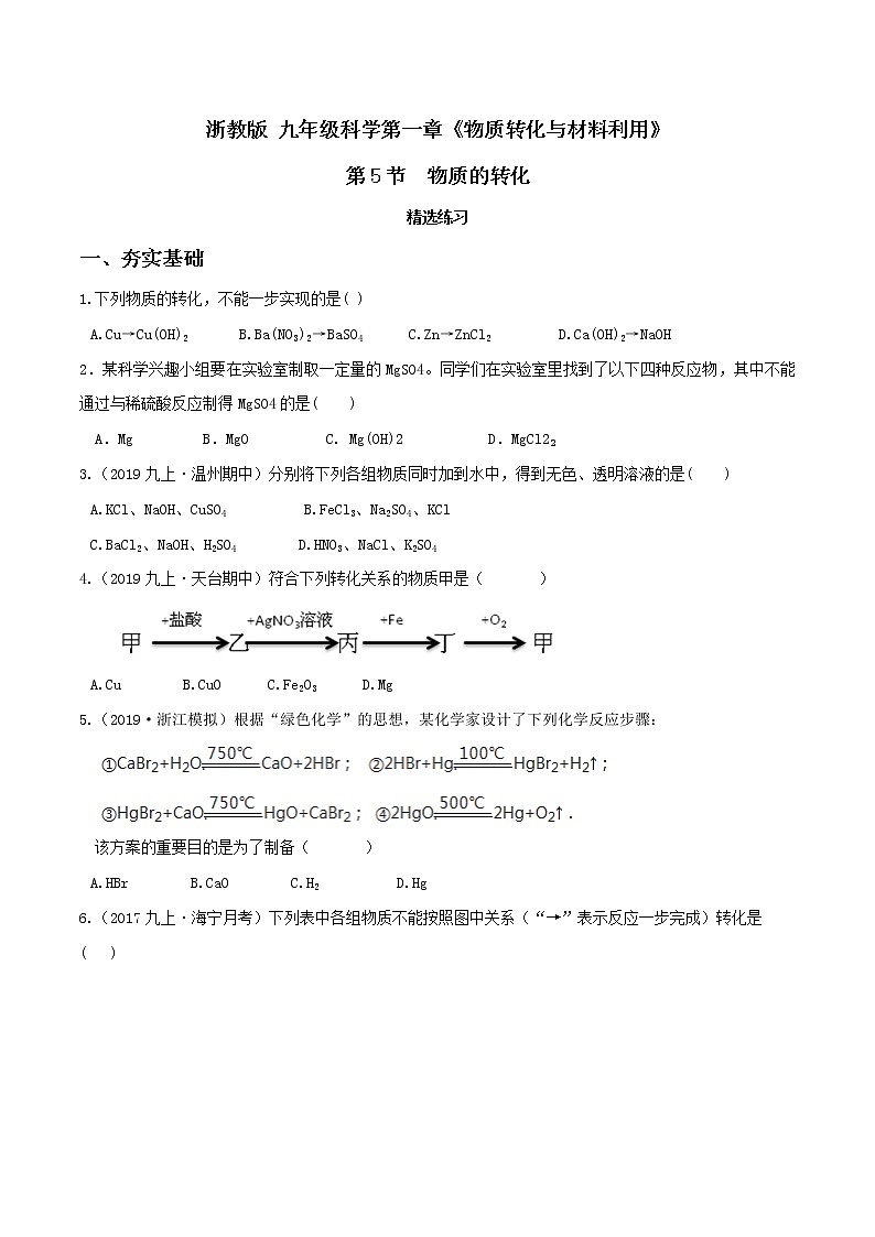 2.5 物质的转化（第4课时）（精选练习）-九年级科学上册（浙教版）01