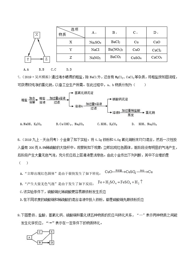 2.5 物质的转化（第4课时）（精选练习）-九年级科学上册（浙教版）02