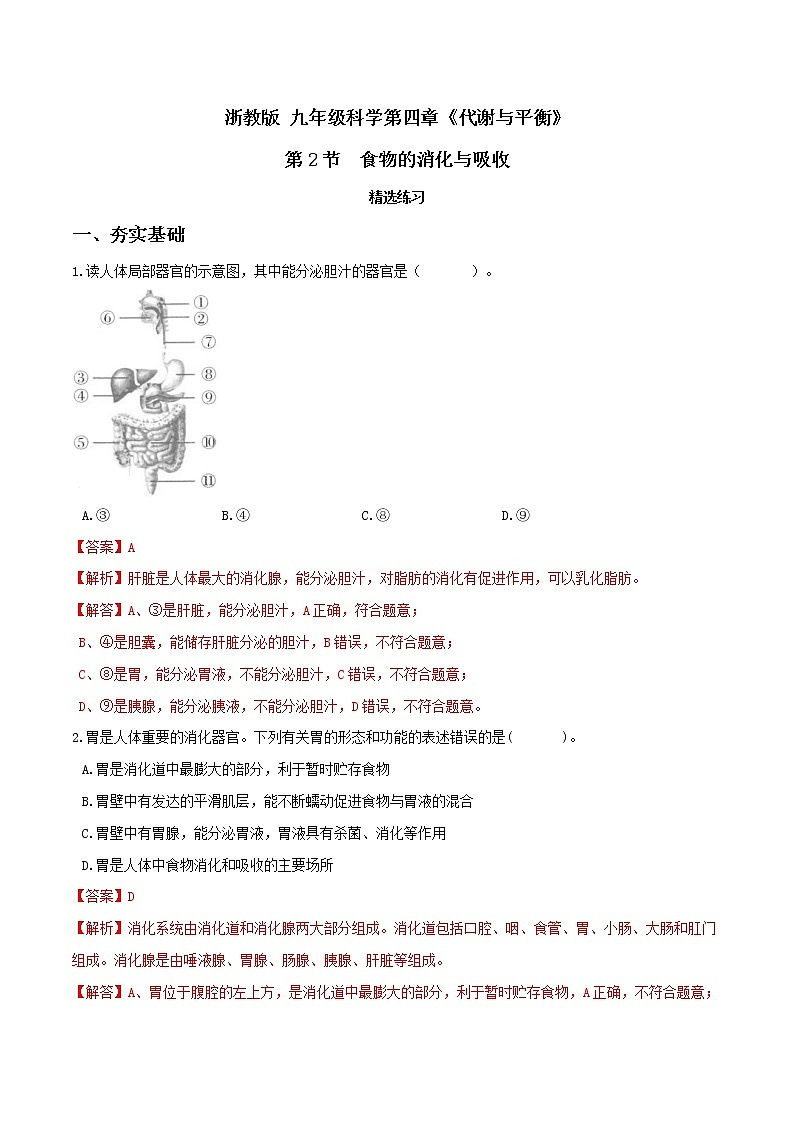 4.2食物的消化与吸收（第1课时）（精选练习）-九年级科学上册(浙教版)01