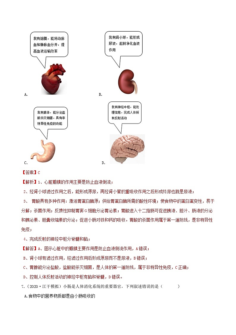 4.2食物的消化与吸收（第1课时）（精选练习）-九年级科学上册(浙教版)03