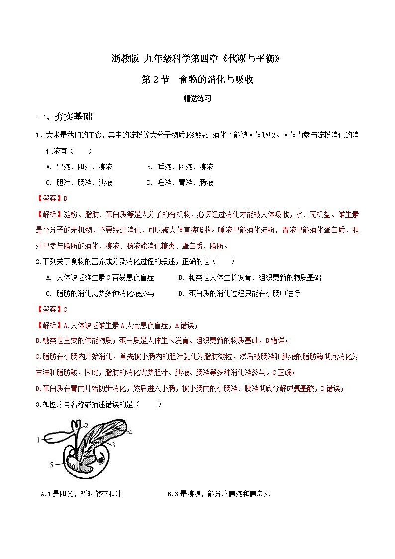 4.2食物的消化与吸收（第2课时）（精选练习）-九年级科学上册(浙教版)01