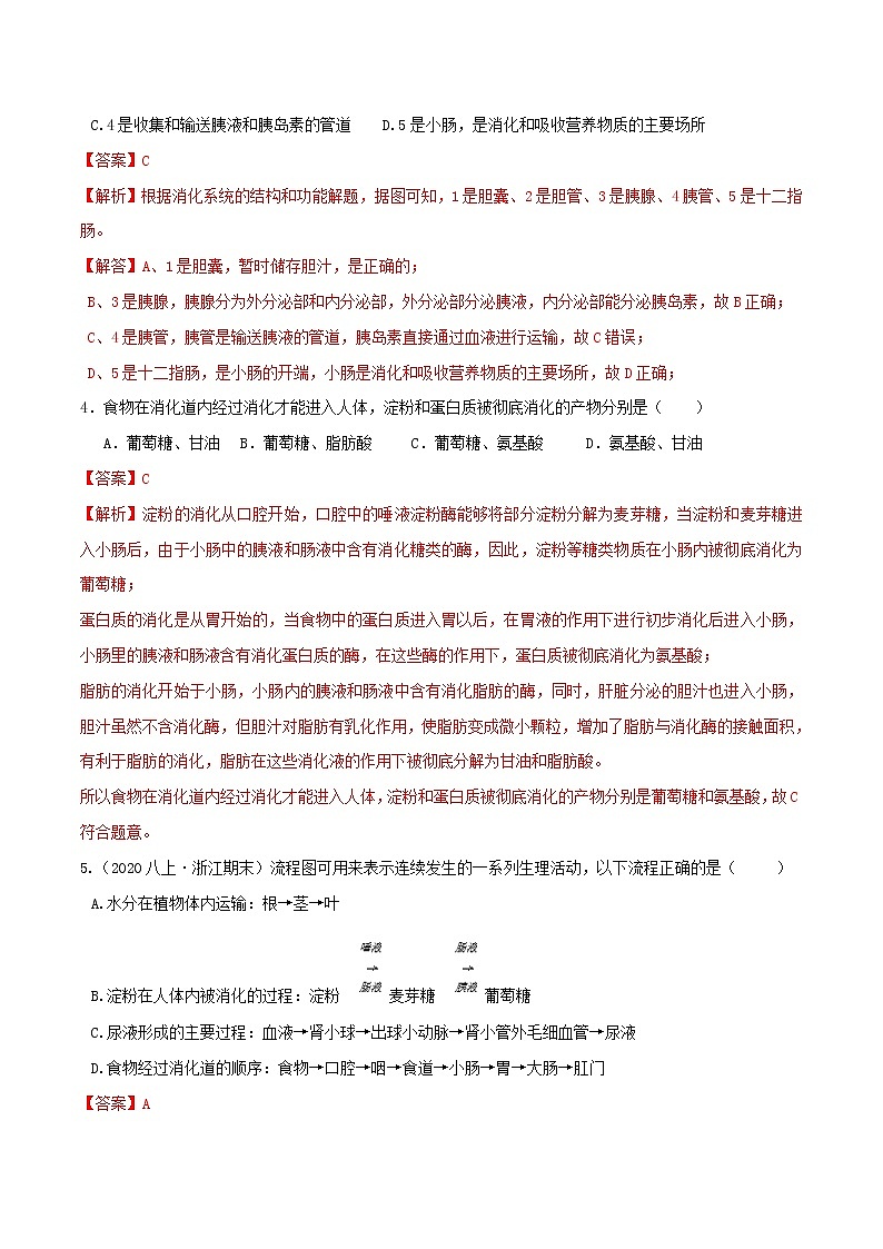 4.2食物的消化与吸收（第2课时）（精选练习）-九年级科学上册(浙教版)02
