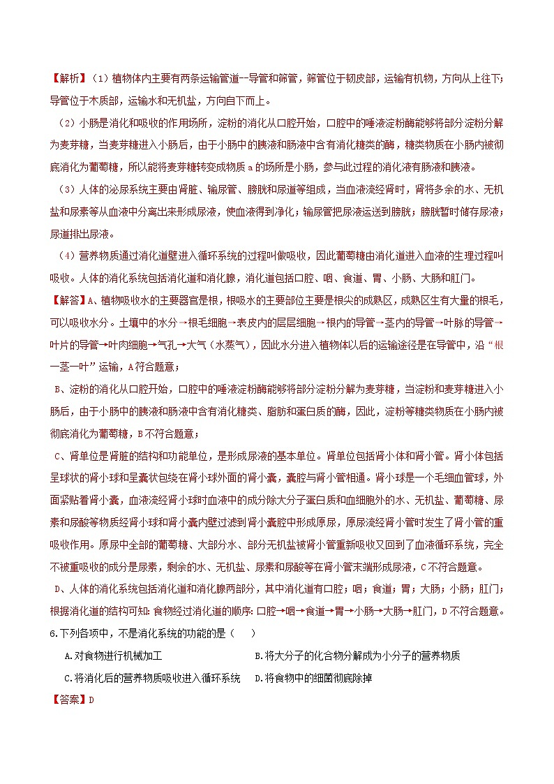 4.2食物的消化与吸收（第2课时）（精选练习）-九年级科学上册(浙教版)03