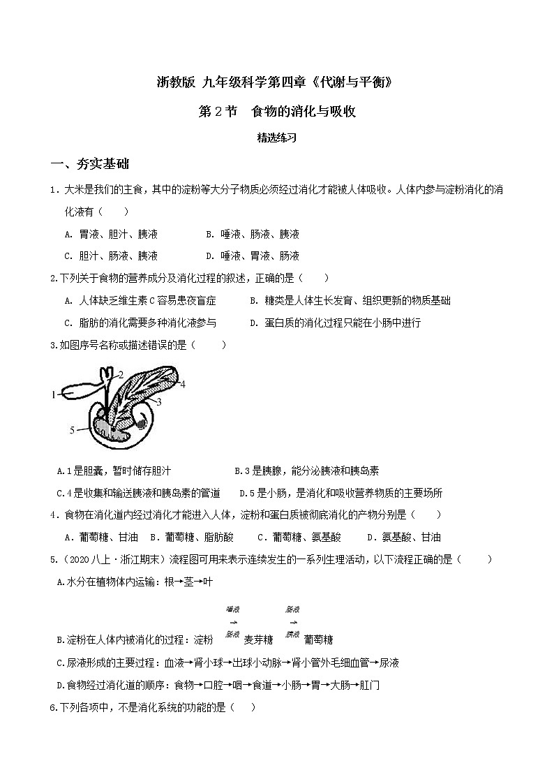 4.2食物的消化与吸收（第2课时）（精选练习）-九年级科学上册(浙教版)01
