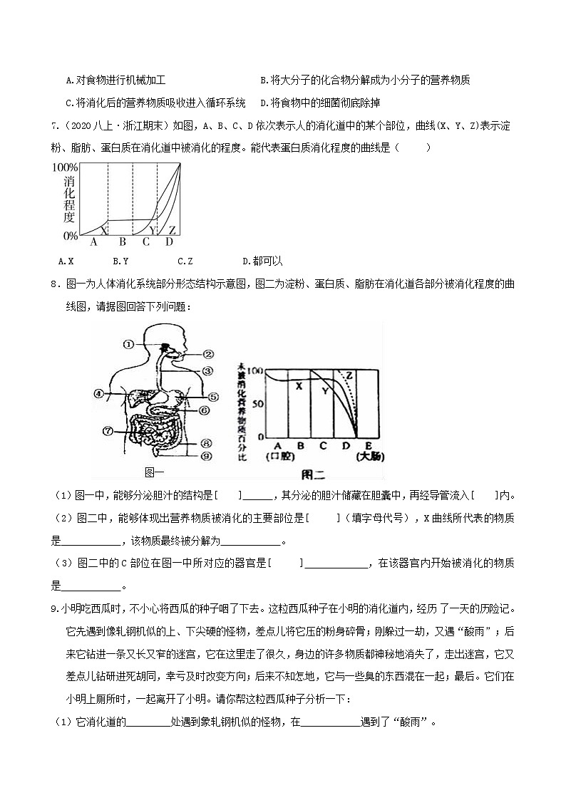 4.2食物的消化与吸收（第2课时）（精选练习）-九年级科学上册(浙教版)02