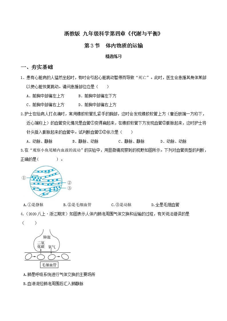 4.3体内物质的运输（第2课时）（精选练习）-九年级科学上册(浙教版)01