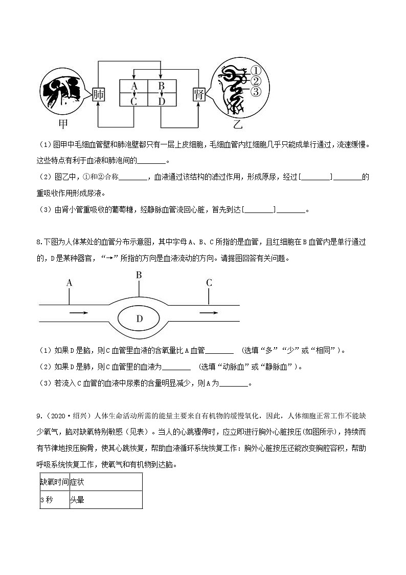 4.3体内物质的运输（第2课时）（精选练习）-九年级科学上册(浙教版)03