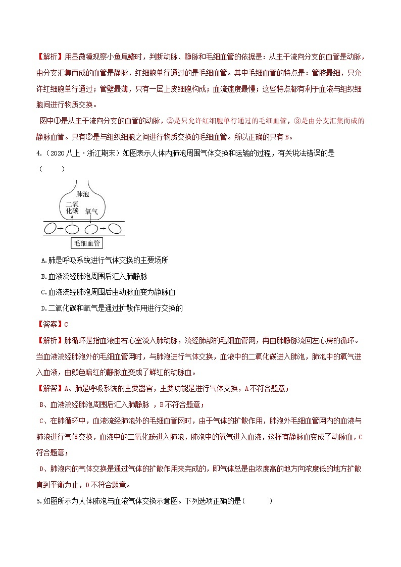 4.3体内物质的运输（第2课时）（精选练习）-九年级科学上册(浙教版)02