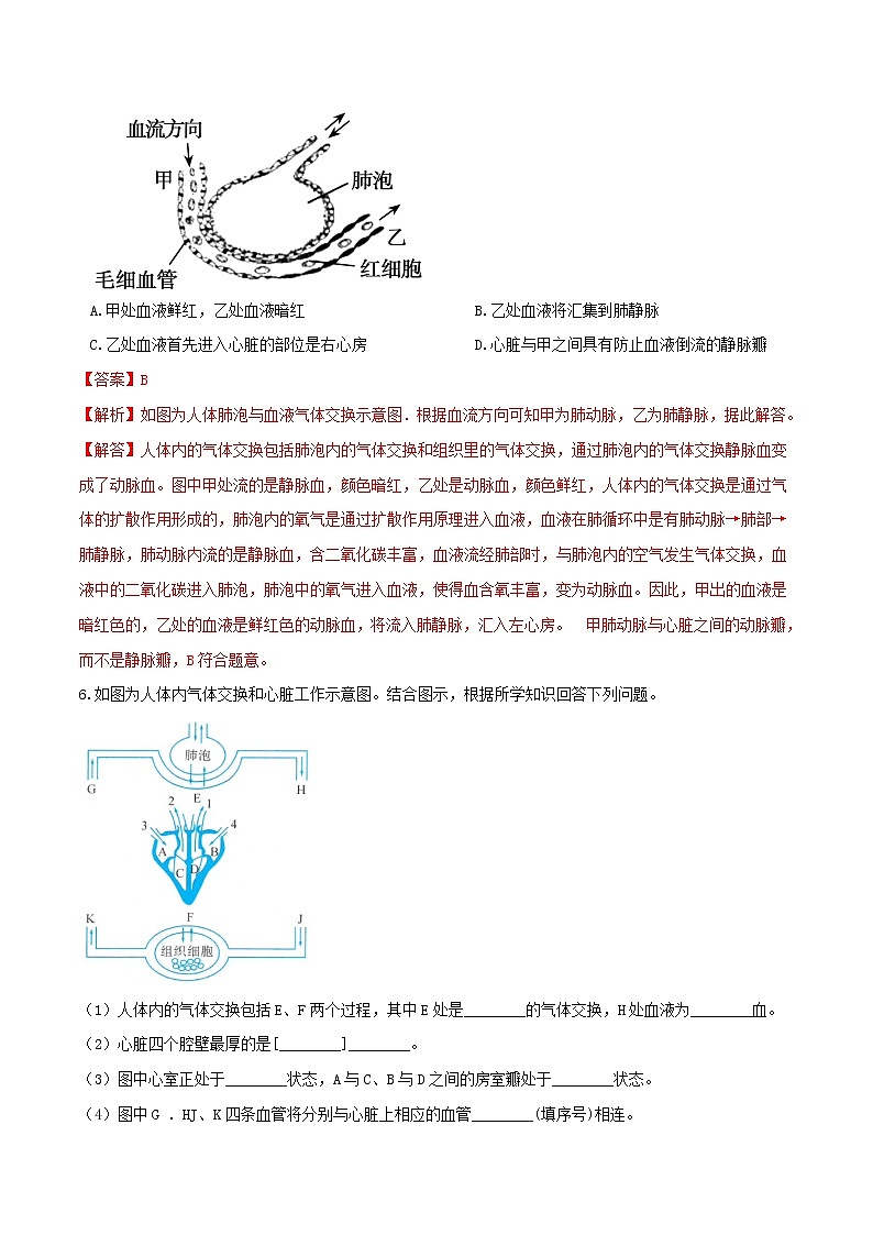 4.3体内物质的运输（第2课时）（精选练习）-九年级科学上册(浙教版)03