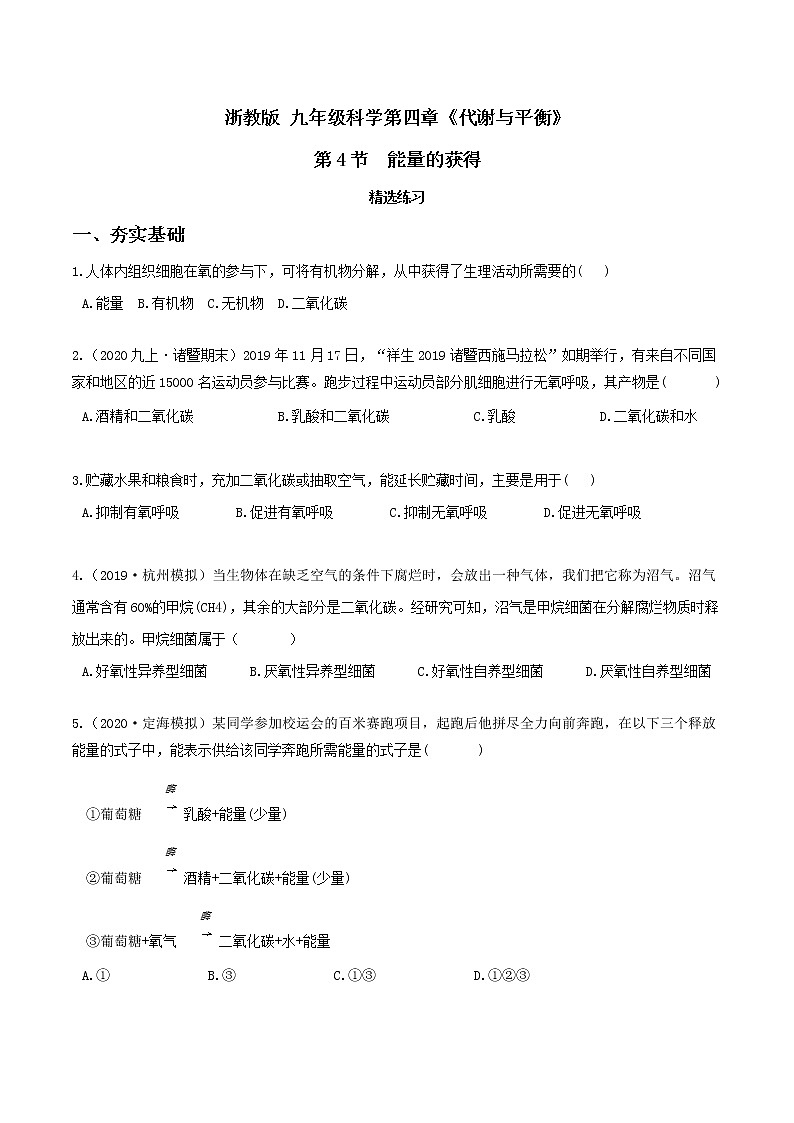 4.4能量的获得（精选练习）-九年级科学上册(浙教版)01
