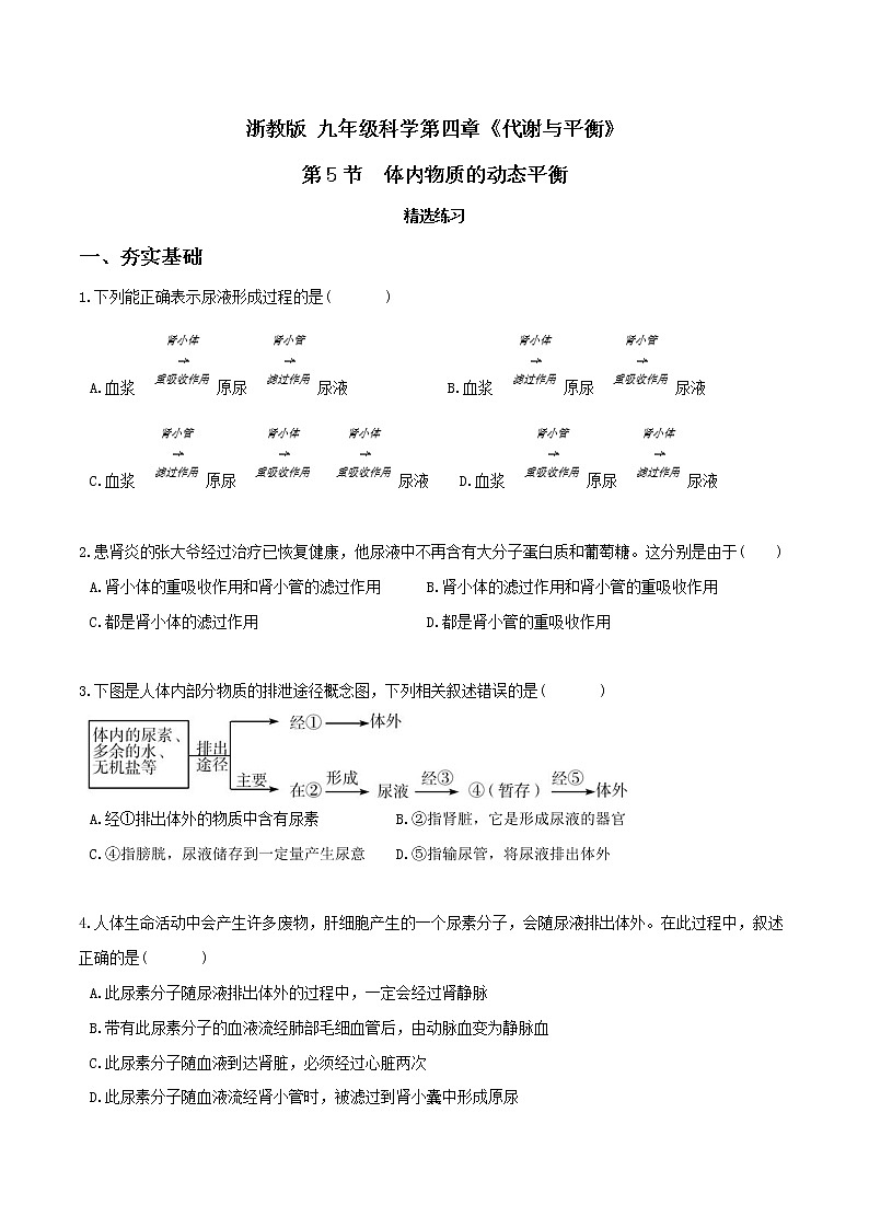 4.5体内物质的动态平衡（第1课时）（精选练习）-九年级科学上册(浙教版)01
