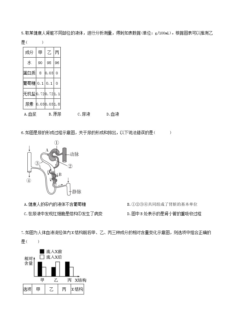 4.5体内物质的动态平衡（第1课时）（精选练习）-九年级科学上册(浙教版)02