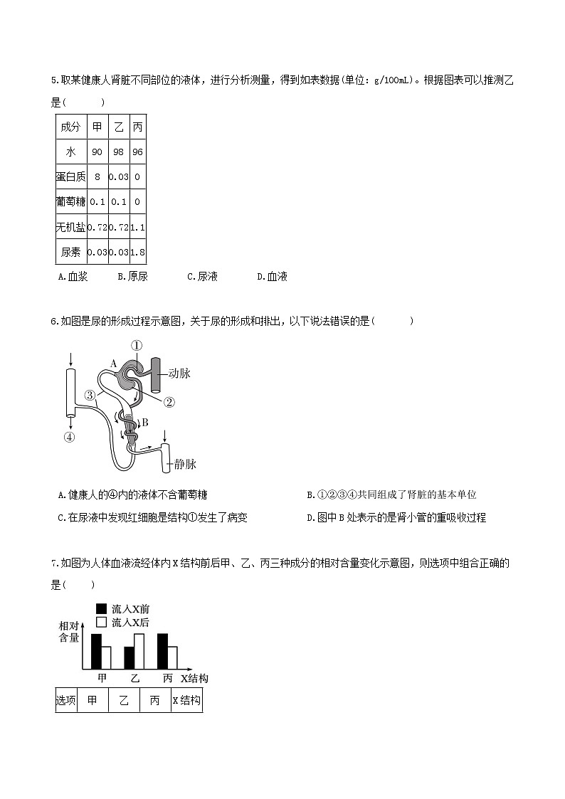 4.5体内物质的动态平衡（第1课时）（精选练习）-九年级科学上册(浙教版)02