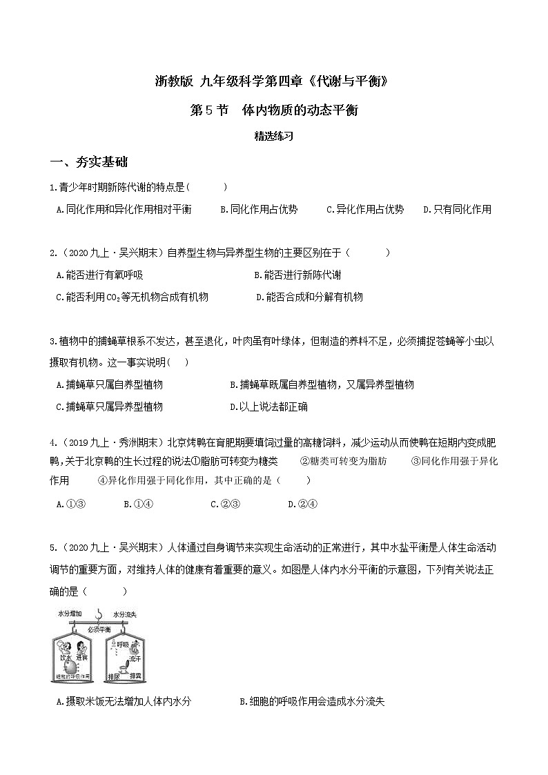 4.5体内物质的动态平衡（第2课时）（精选练习）-九年级科学上册(浙教版)01