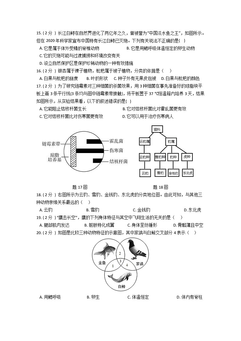 2022年华师大科学七上第二单元生物的主要类群质量评估卷03
