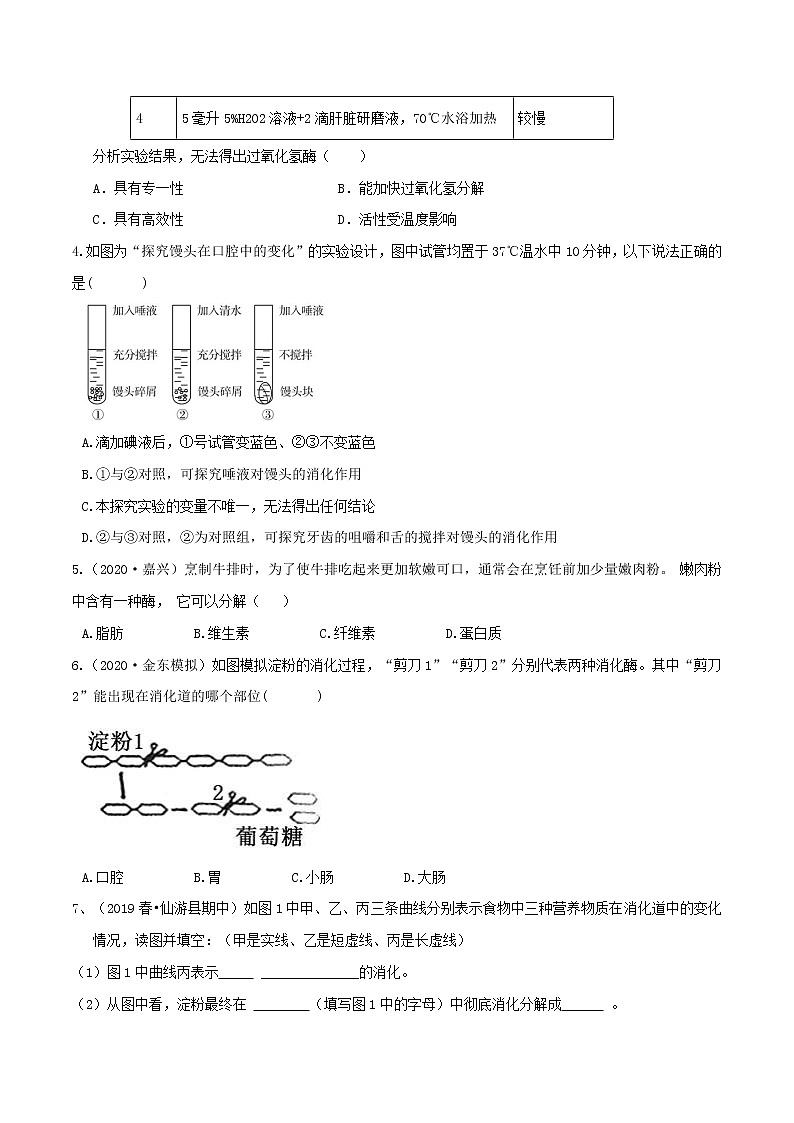 4.2食物的消化与吸收（第3课时）（精选练习）-九年级科学上册(浙教版)02