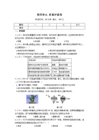 2022年华师大科学八上 第四单元 植物的物质和能量的转化 质量评估卷