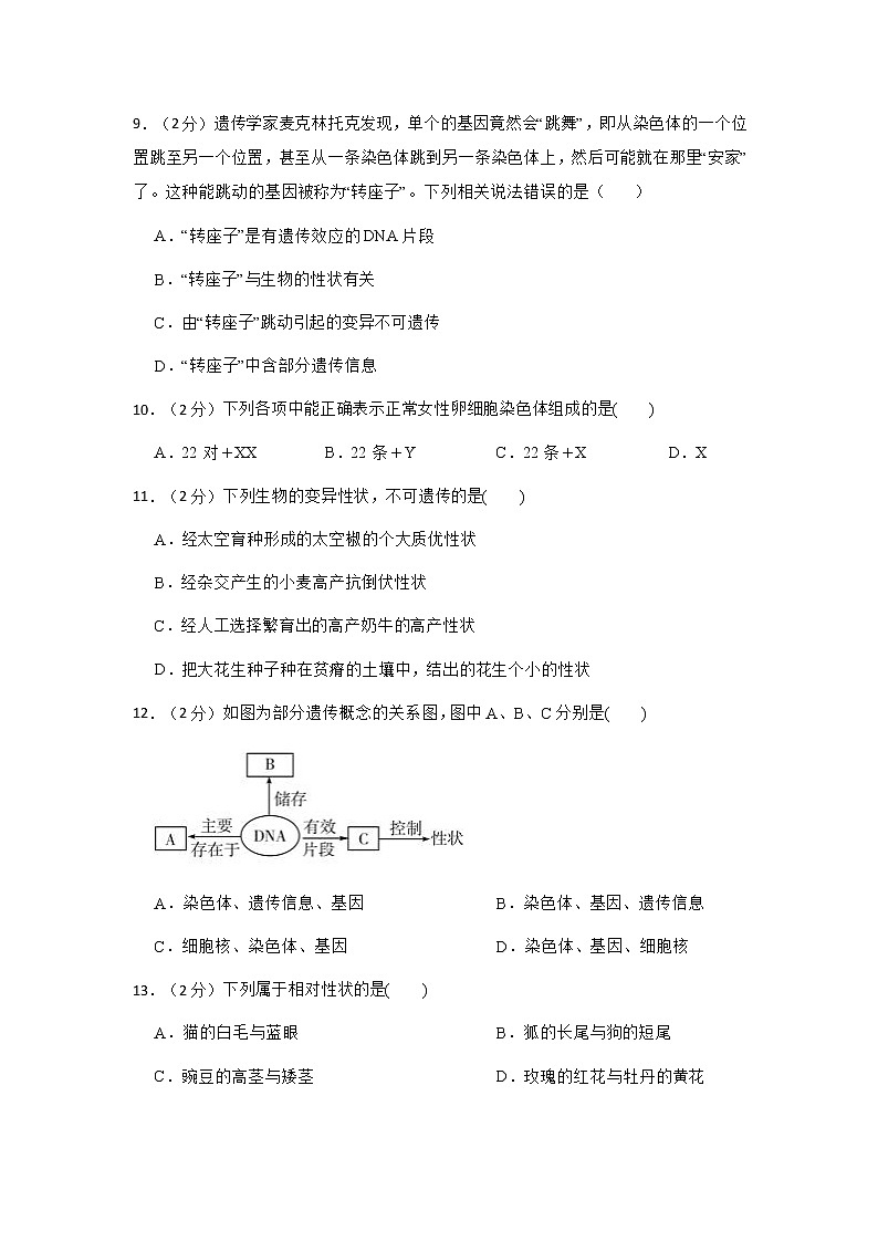 2022年华师大 科学 九下 第五单元 质量评估卷03