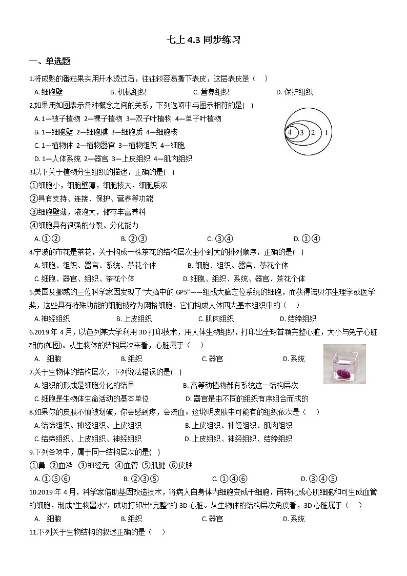 初中科学华师大生物的结构层次（后两节）同步练习01