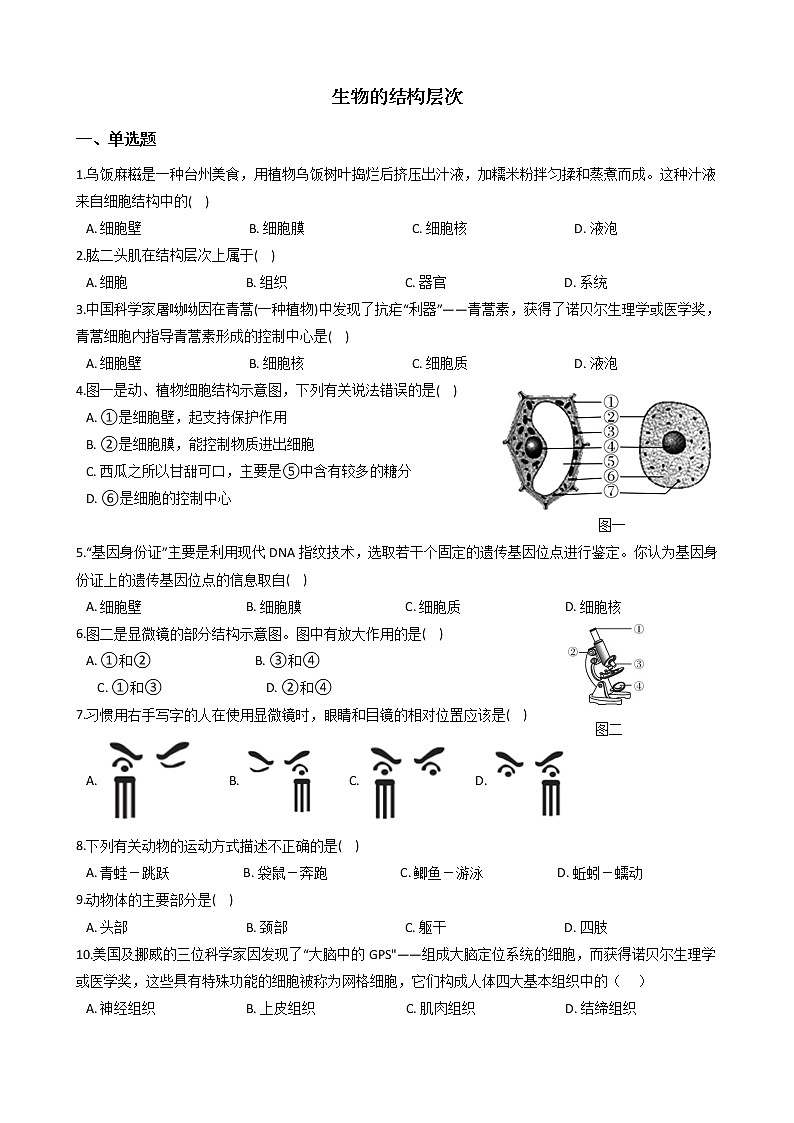 初中科学华师大生物的结构层次同步练习第1页
