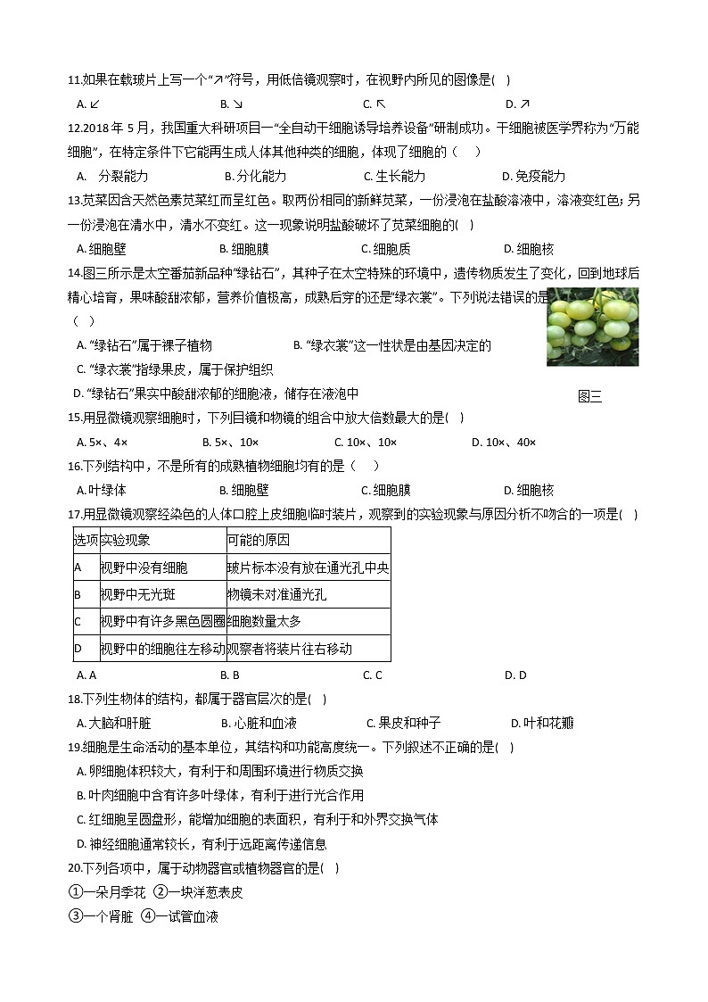 初中科学华师大生物的结构层次同步练习第2页