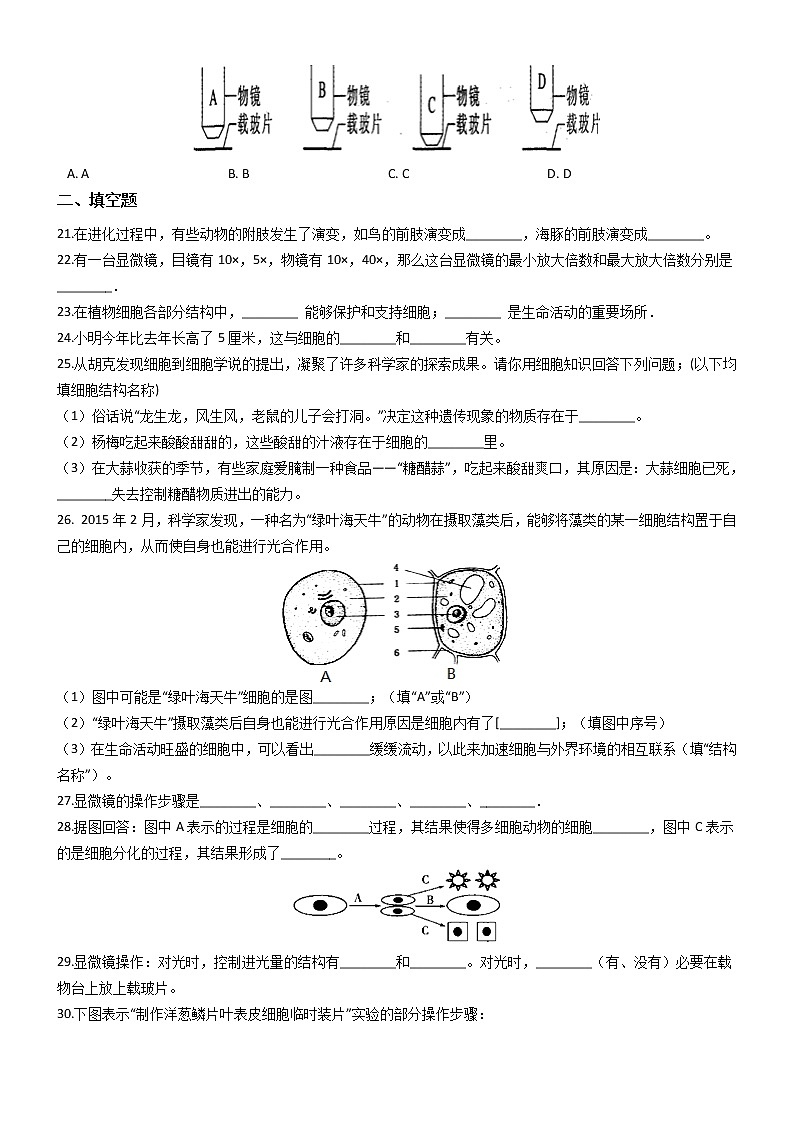 初中科学华师大生物的结构层次（前两节）同步练习第3页